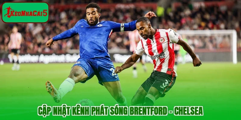 Cập nhật kênh phát sóng Brentford - Chelsea