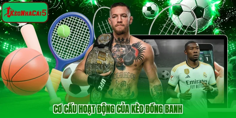Cơ cấu hoạt động của kèo đồng banh