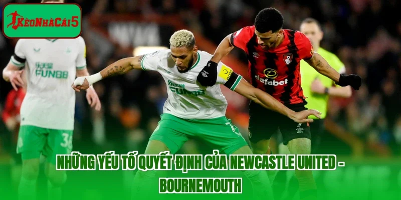 Những yếu tố quyết định của Newcastle United - Bournemouth