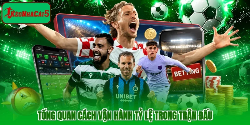 Tổng quan cách vận hành tỷ lệ trong trận đấu